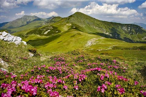 Pietrosul Rodnei Maramures